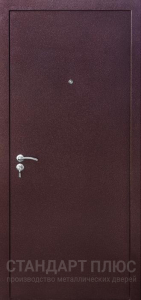 Стальная дверь С зеркалом №78 с отделкой Порошковое напыление